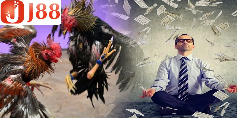 Nhanh tay tham gia để hốt thưởng tại sảnh Đá gà