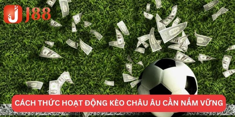 Tuyệt chiêu đặt kèo châu Âu ra tiền nhanh