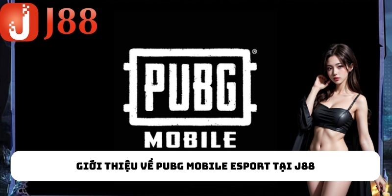 Cược đấu đội trong PUBG Mobile Esport