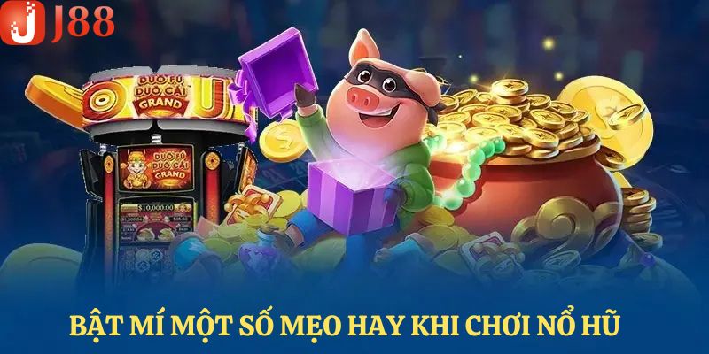 Các sản phẩm quay hũ nổi bật, đáng trải nghiệm nhất