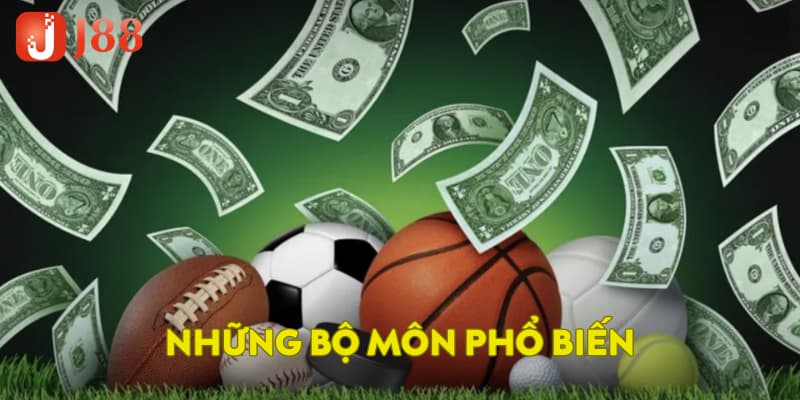 Những bộ môn phổ biến